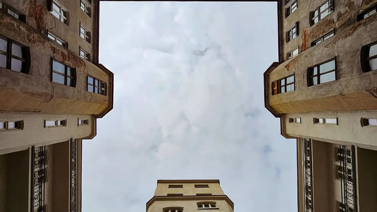 陈淳宝头像