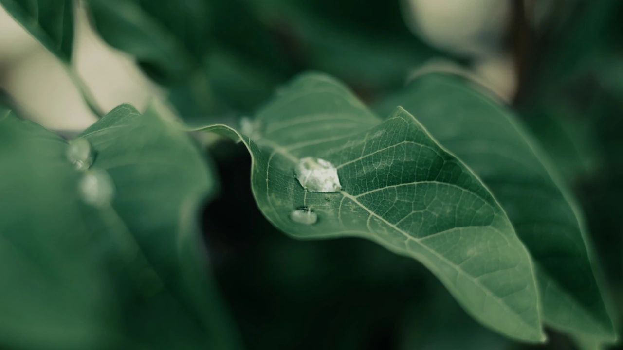 快速影视怎么选使用场景与常见问题排查指南