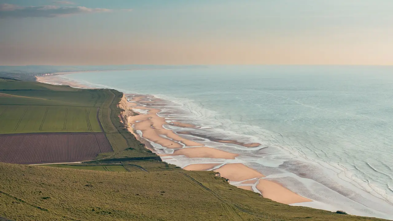 林雅芬头像