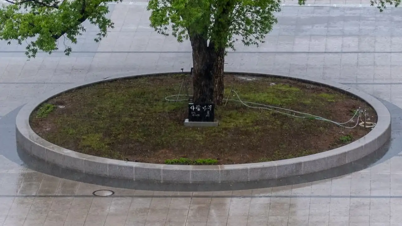 黄色视频免费软件使用场景与常见问题说明