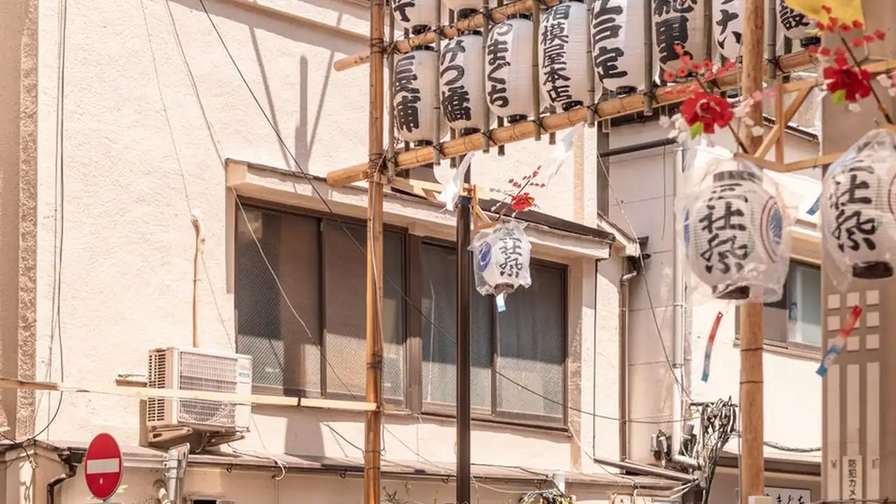 郭丽华头像