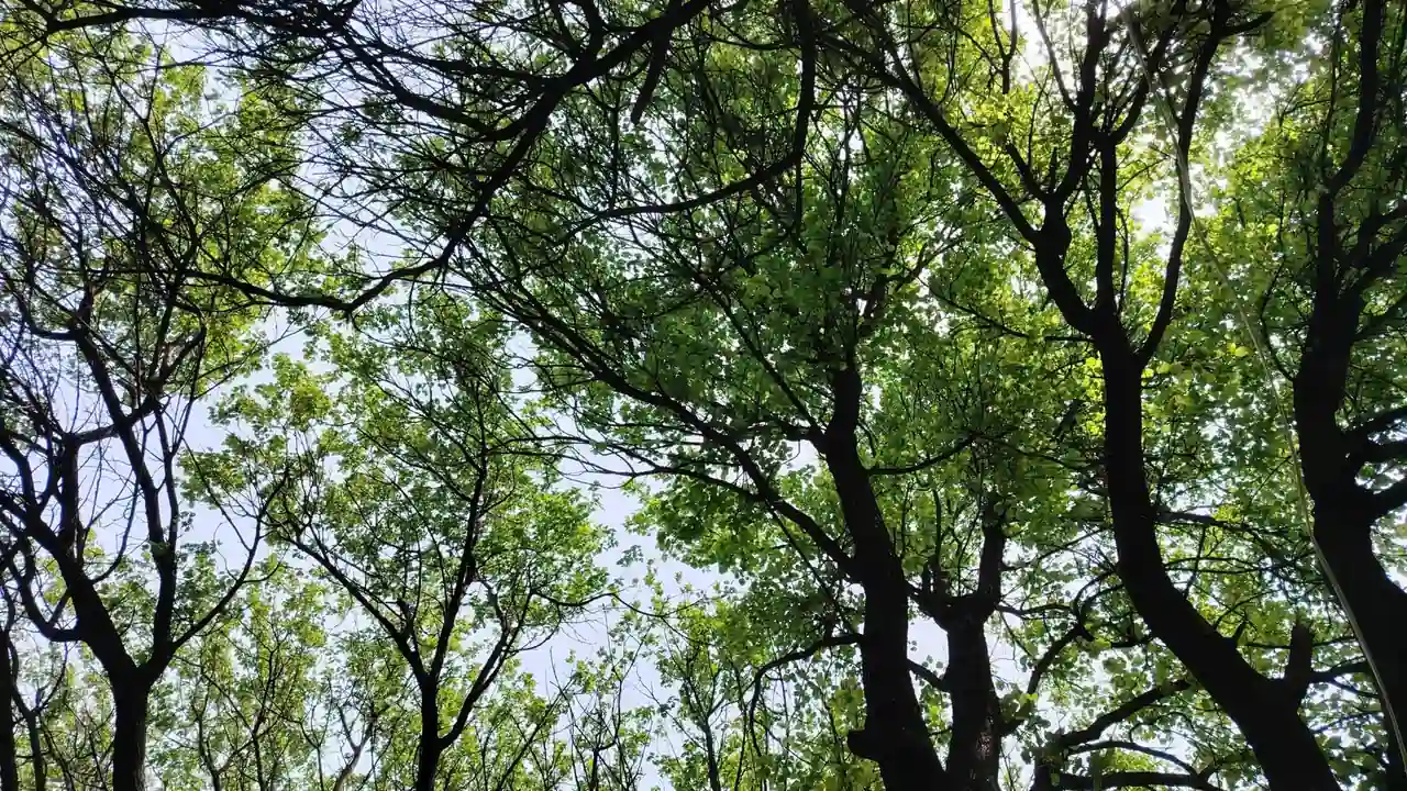 关于太阳影视的实际用途与常见使用限制说明
