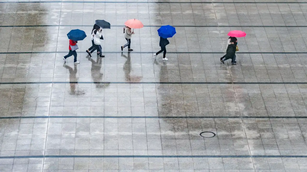 免费三级现频在线观看免费的渠道选择与注意事项